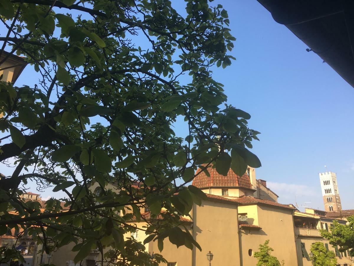 Casa Francesca Lejlighed Lucca Eksteriør billede