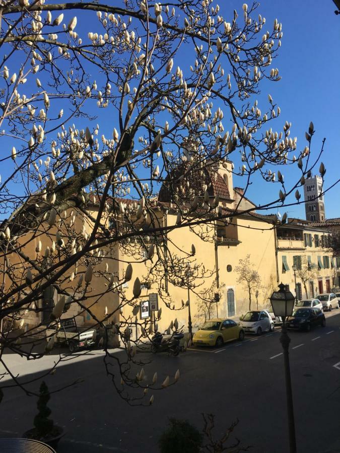 Casa Francesca Lejlighed Lucca Eksteriør billede